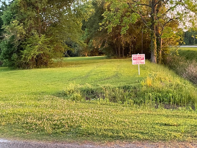 Highway 69, White Castle, LA 70788